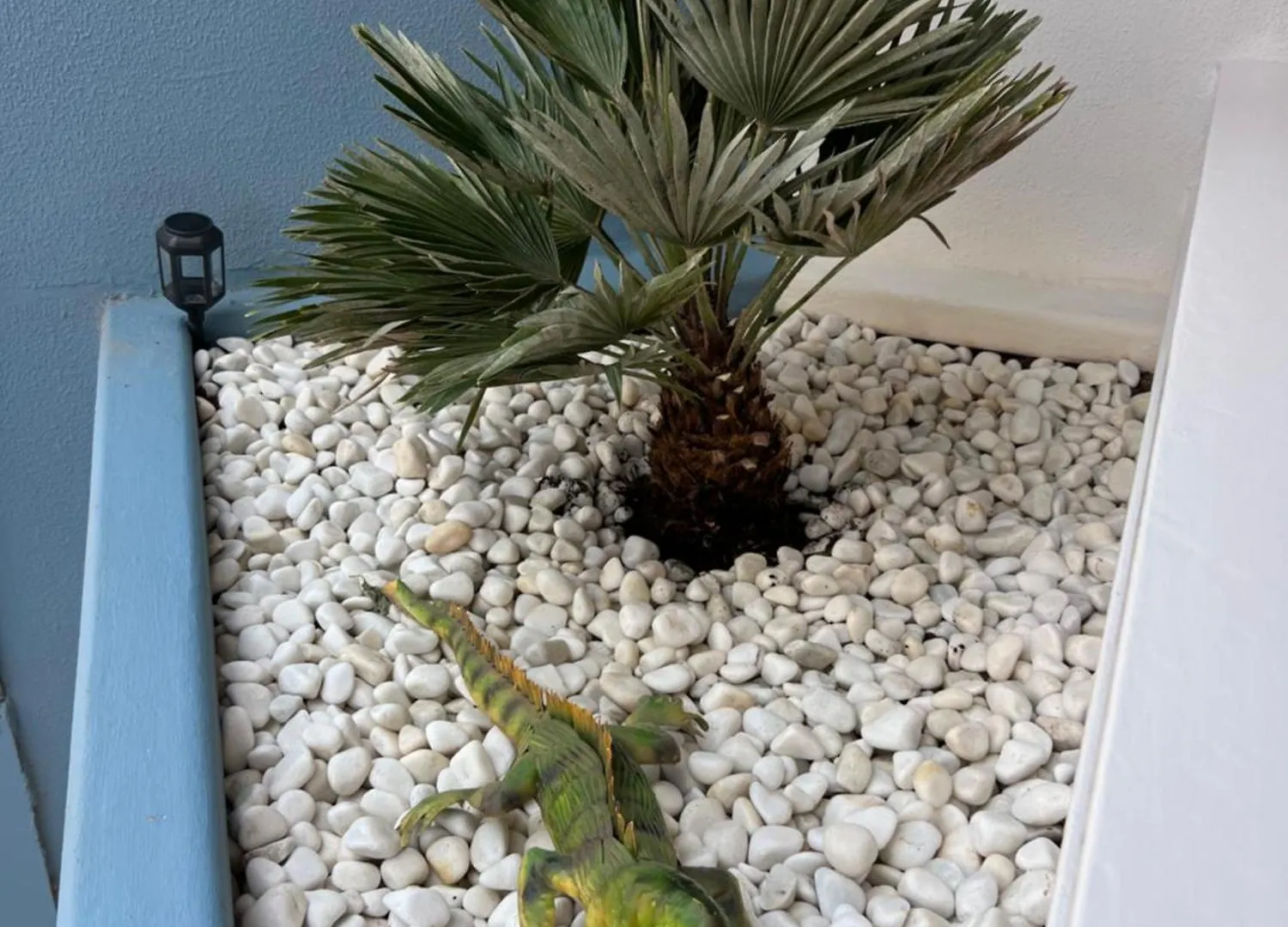 Air Conditioning, Private Parking And Fully Equipped Kitchen In Hotel Room In Golf Del Sur, Tenerife San Miguel de Abona